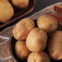 감자 수확중 수미햇감자 맛있는 감자 5kg 10kg, 【햇수미감자】10kg(특/대/찜/반찬 110~150g)