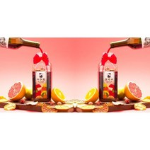 샹그리아 키트 담금주 세트 500ml 1000ml, v선택해주세요v, 1000ml/小 쇼핑백(22X23X9)