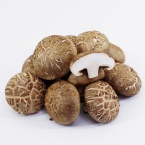 채선 쫄깃한식감과 특유의맛 국내산 표고버섯 상 하 500g 1kg, 1포, 500g(상)