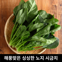 [국내산/국산] 해풍맞은 제철 노지 싱싱 시금치 2kg 1kg 최상품 선별 생시금치 당일수확 보물초 생 노지시금치 아기반찬 남해시금치 남해 햇 노지 시금치