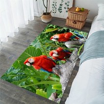 CLOOCL 앵무새 파라다이스 플로어 매트 열대 숲 프랭지파니 3D 프린트 플란넬 카펫 거실 공간 러그 실내 도어매트, 8.50cmX80cm - Carpet 2