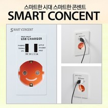 매립형USB콘센트 매립형USB충전콘센트 스마트usb콘센트 스마트충전콘센트 매립형스마트콘센트/뉴젠, YSC-R, 1개