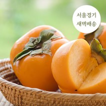 새벽배송 당일배송 프리미엄 단감 당도최고 5kg 10kg 새벽경매 가락시장, 단감 5kg 35~42과, 1개