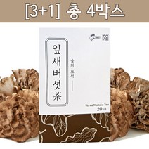 [3+1 4BOX] 잎새버섯 티백차 20티백 총 4박스