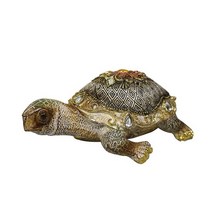 IS-M 큐빅 건강 장수거북이- 대, 없음