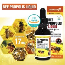 비 프로폴리스 리퀴드 30ml 캐나다프로폴리스