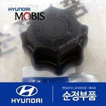 그랜버드 버스 순정 라디에이터 캡 뚜껑 (연식무관)