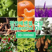 J013 윈터그린 100ml (Winter Green Essential Oil) 천연에센셜 오일 원액 아로마