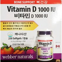 코스트코 웨버내추럴 비타민D 1000 IU 205mgX250캡슐