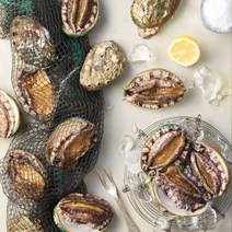 완도전복주식회사 완도 활전복 1kg 세트, 1box, 16~17미  1kg
