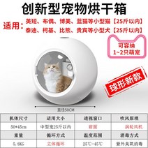 펫 드라이룸 가정용 저소음 털 말리는 기계 건조기 드라이기, 상세참고, A