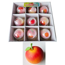 자연과학습 꿀사과모찌 주물럭 촉감 말랑이 찐득이 선물, 꿀사과모찌1개