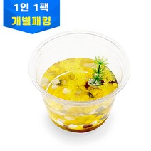 이노스팀연구소 재미있는 과학실험 바다새우 키우기