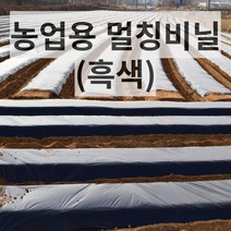 농업용 멀칭비닐 150cm X 200m, 150cm X 200m (흑색), 1개