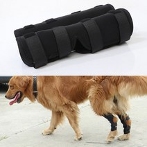 런웨이멍멍 강아지 슬개골 관절 보호밴드 S, 2개