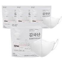 김국산 KF94 새부리형 마스크 중형, 25매입, 4개, 화이트