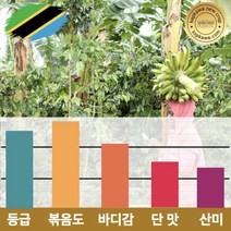 캅카와 [스페셜티]원두 탄자니아 음베야 AAA FAQ 강배전 200g (뉴크롭), 더치커피용