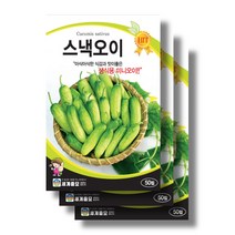 스낵오이 씨앗30립x3 생식용 미니오이 씨앗, 30립x10봉