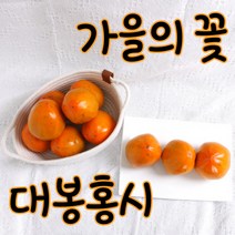 홍시용 감 대봉감 큰과수 10~12과 3.5kg 내외 [안전난좌포장]