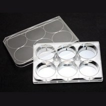 초중등 화학실험교구 홈판(다용도 반응판) (10개) 관찰수업, 6홈판