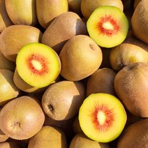 제주레드키위, 1박스, 제주도레드키위 5kg 67과내외