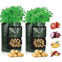 감자 재배 가방 PE 야채 양파 식물 손잡이 포함 두꺼운 정원 당근 타로 땅콩, 5 Gallon 23x28cm, 5 Gallon 23x28cm