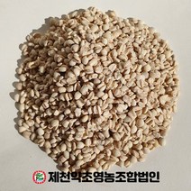 국산 의이인 율무 500g 제천약초영농조합 제천약초시장, 1, 500