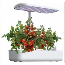 이지식물 가정용 LED 식물재배기 스마트 팜 홈가드닝 수경재배 채소 키우기, 10구+24400