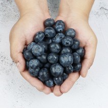23년 햇블루베리 수입 고당도 블루베리 생과 500g 1kg, 수입 블루베리 1kg, 1개