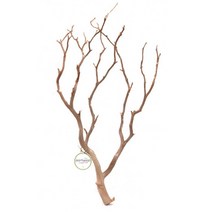 세틀 만자니타 샌딩 유목 [M] 45~55cm