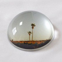 오브비브 포토 유리 오브제 문진, 5. Palm Tree