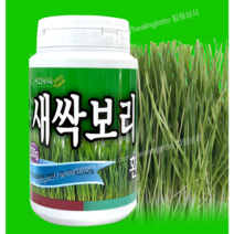 자연주의 새싹보리환 230g 체중조절 항산화 면역력증진, 2통460g, 2개