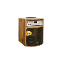 소닉스 SMP-500A 미니 이동식 앰프 스피커 블루투스 USB