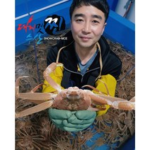[산지직송] 동해안 구룡포 홍게 특가!, 수율보장 홍게 10마리