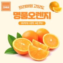 지앤제이 고씨네 프리미엄 오렌지15kg 오렌지 오렌지대과 감귤, one color, free