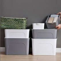 플라스틱 핸들 리빙박스, 화이트-중형