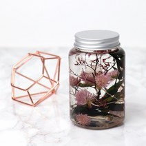 새로핸즈 유동파라핀 오일 하바리움 용액 500ml, 단품