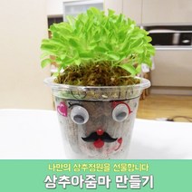 상추아줌마/새싹재배기/새싹화분/미니정원/미니화분/상추재배기/애완식물/초등교육교구/체험교육교구/새싹완구/베란다텃밭/씨앗재배기/식물키우기/미니팜, 1개