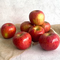 경북 부사 사과 정품 10kg, 부사 사과 정품 10kg 35-38과, 상세설명 참조