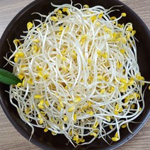 싱싱하고 아삭한 나주 두리 콩나물, 나주 콩나물 2kg, 1개