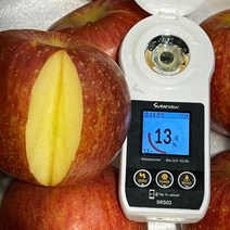 [백구푸드] 사과 과즙이 풍부하고 달콤한 햇 부사 3kg, 1박스, 3kg 10-14과 상품