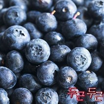 남도장터에코한마음 국내산 친환경 무농약 블루베리 생과 500gx2팩 무선별