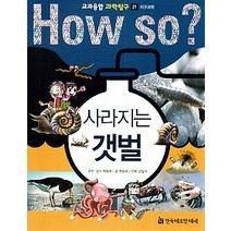 [개똥이네][중고-최상] HOW SO? 교과융합 과학탐구 21 사라지는 갯벌