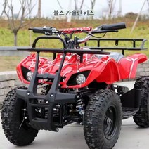 ATV 사륜바이크 황소 사륜구동 크로스컨트리 사륜 산악 오토바이 버킷 250350C 수냉 구동축 농부, 08 작은 비치카