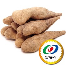 국산 안동 마 참마 산마 산약 생마 3kg 5kg 10kg, 1box, (5) 참마 중품 10kg