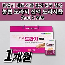 충북 인삼 농협 국산 국내산 도라지 진액 즙 엑기스 액기스 원액 식약처 인증 환절기 기관지 건강 에 좋은 음식 차 식품 선물 6년근 홍삼 대추 당귀 영지버섯 함유 도라지즙 30포, 1개