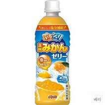 일본 Daido Puru Shari orange jelly 다이도 푸루 샤리 오렌지 젤리 음료수 490ml 24팩, Wenzhou orange jelly