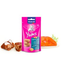 바니네펫스토어 비타크래프트 캣얌 연어 40g 스낵, 1개