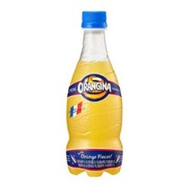 롯데칠성 오랑지나 420ml PET 페트병 24개입 오렌지 탄산음료