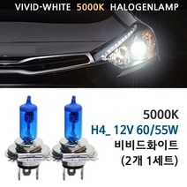 5000K 비비드화이트 기아 레이_RAY 12년-17년 전조등 상향등 하향등 안개등 자동차램프, 1세트, 5000K 레이_RAY전조등 H4(2개1세트)